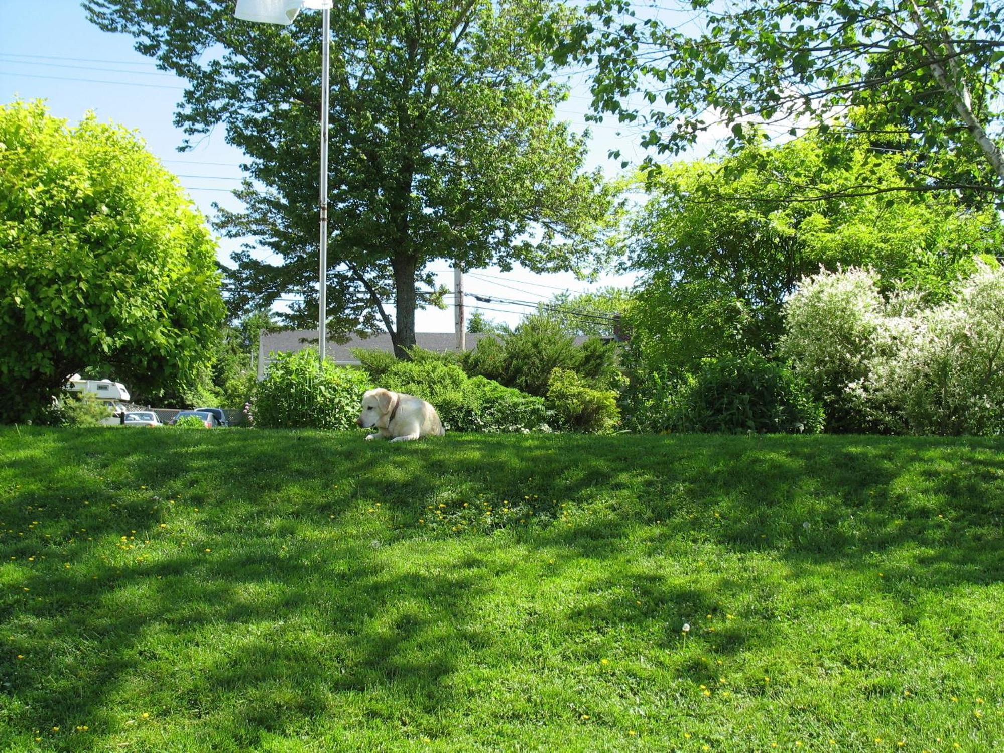 The Nelson House Bed And Breakfast Stewiacke Extérieur photo