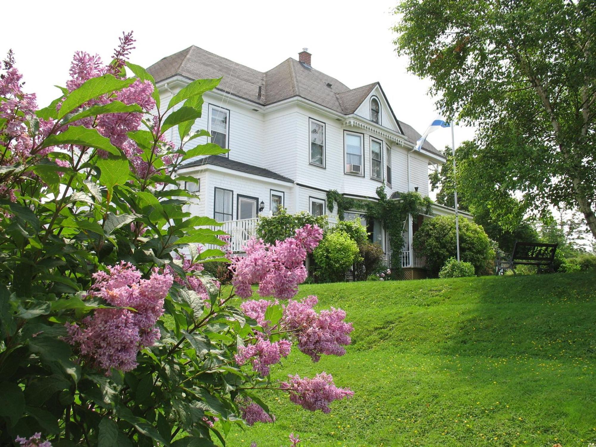 The Nelson House Bed And Breakfast Stewiacke Extérieur photo