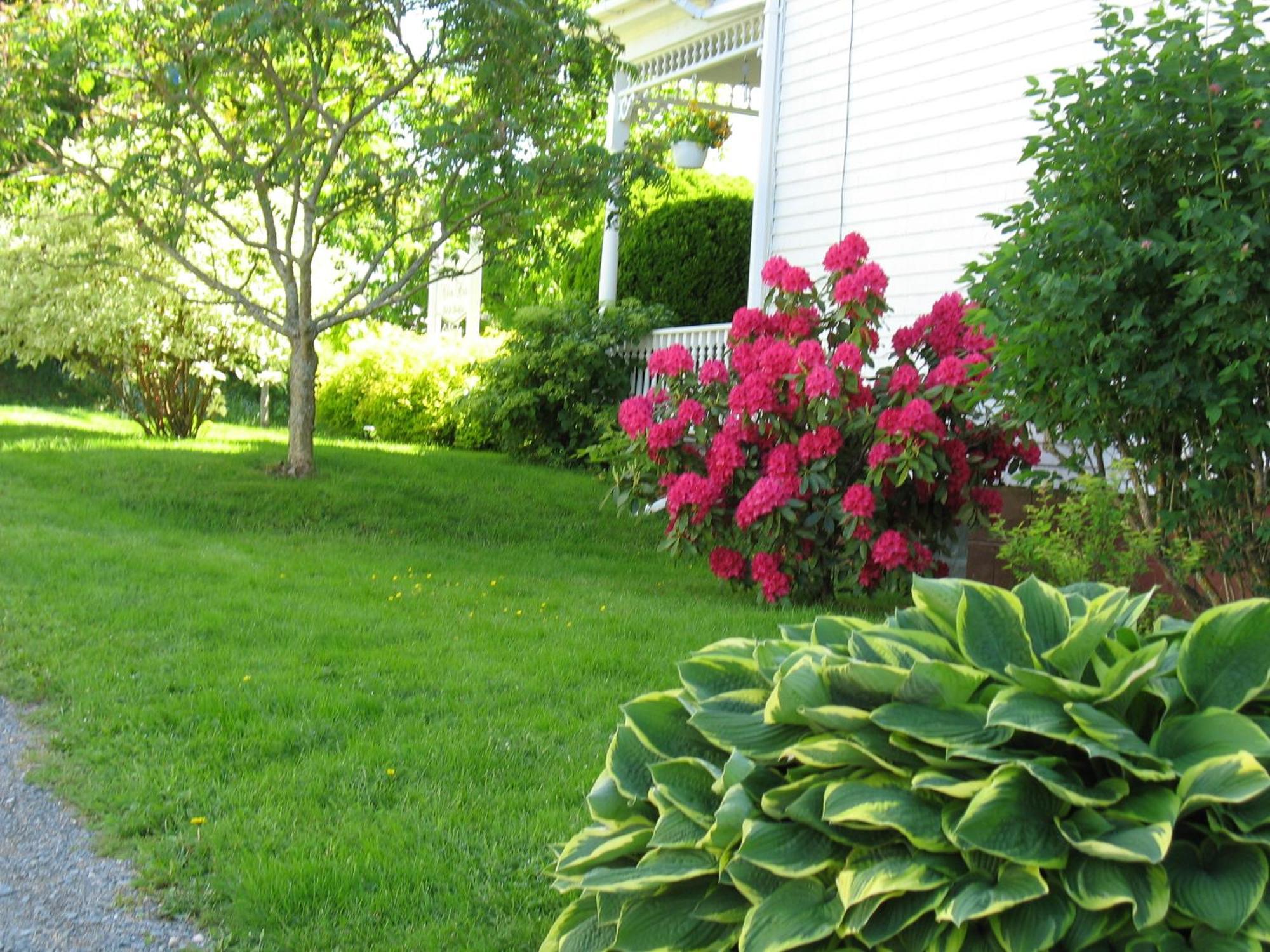 The Nelson House Bed And Breakfast Stewiacke Extérieur photo