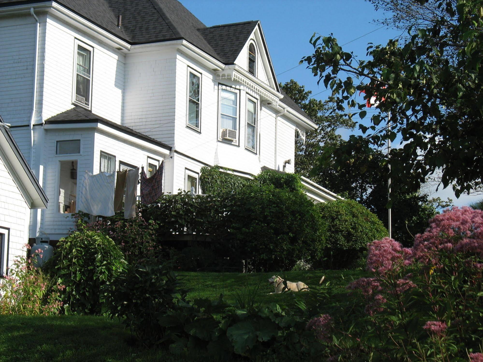 The Nelson House Bed And Breakfast Stewiacke Extérieur photo